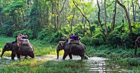 Chitwan National Park Tour in Nepal