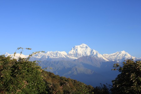 Panchase-Mohare and Ghorepani Dhampus Trekking